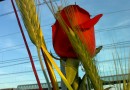 Cataluña vive una diversa jornada de Sant Jordi y en Aragón es fiesta