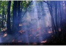 Continúa activo el incendio en el Moncayo