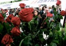 Cataluña celebra el día de Sant Jordi