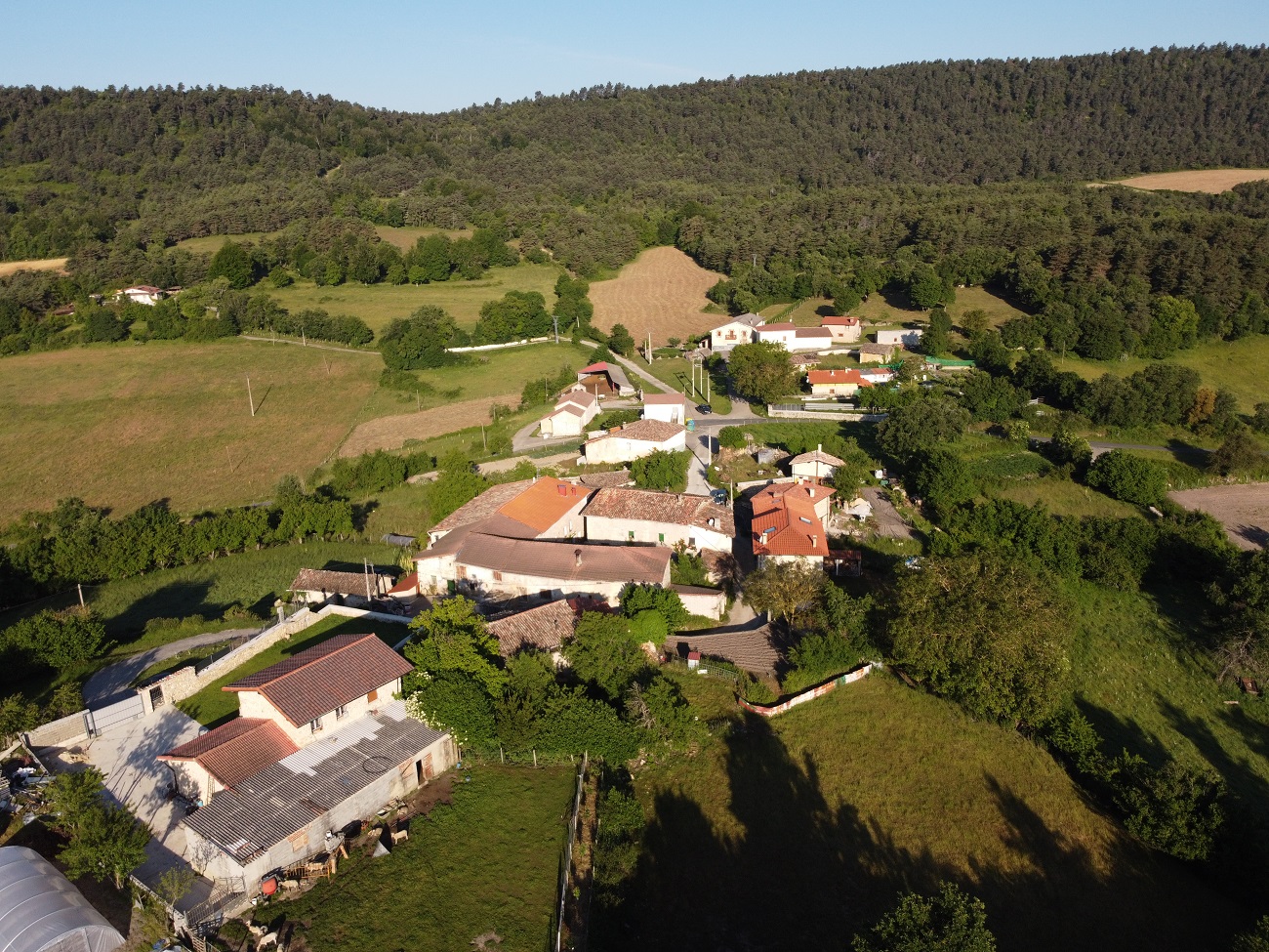Vallelosa