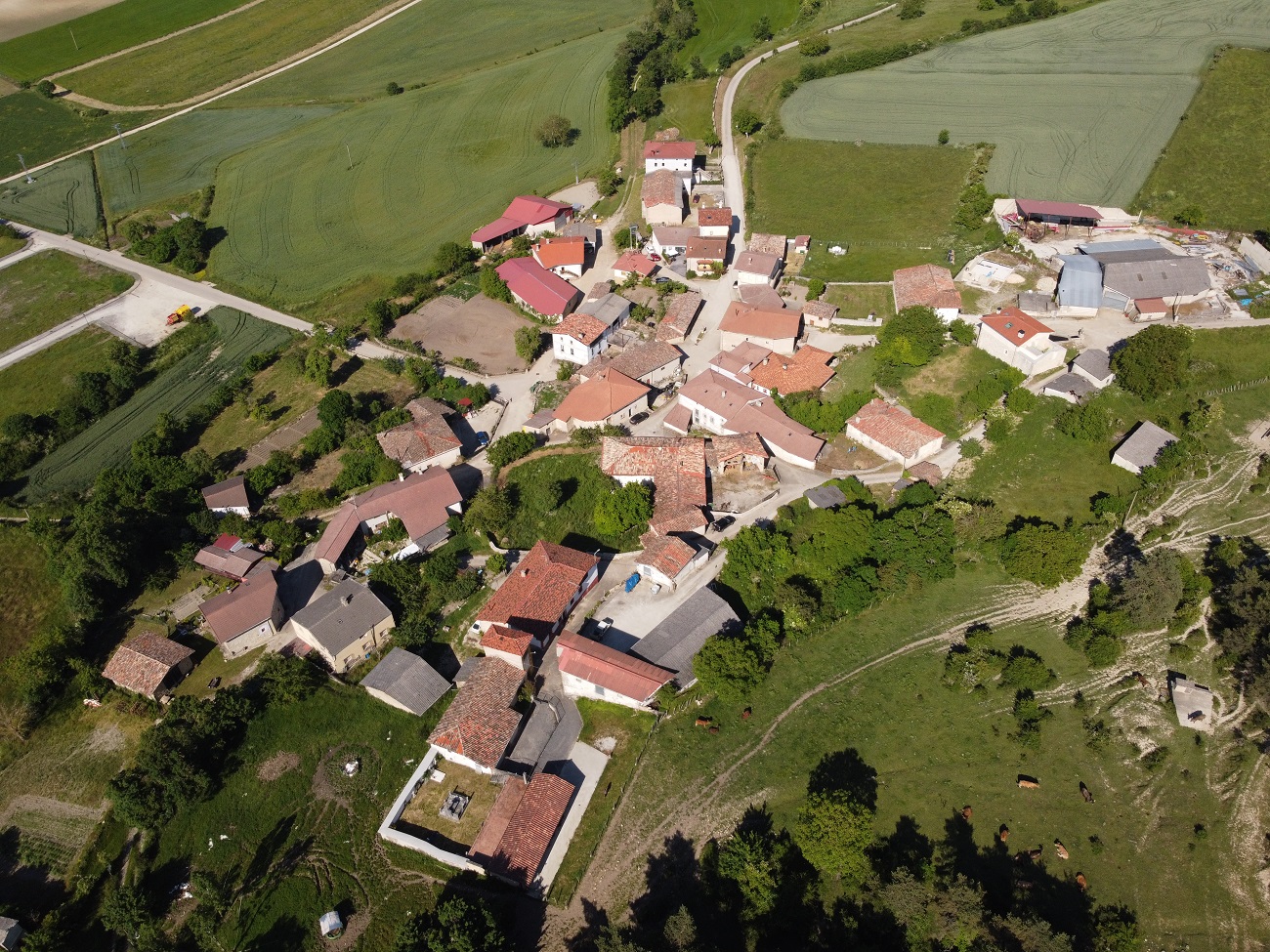 Vallelosa