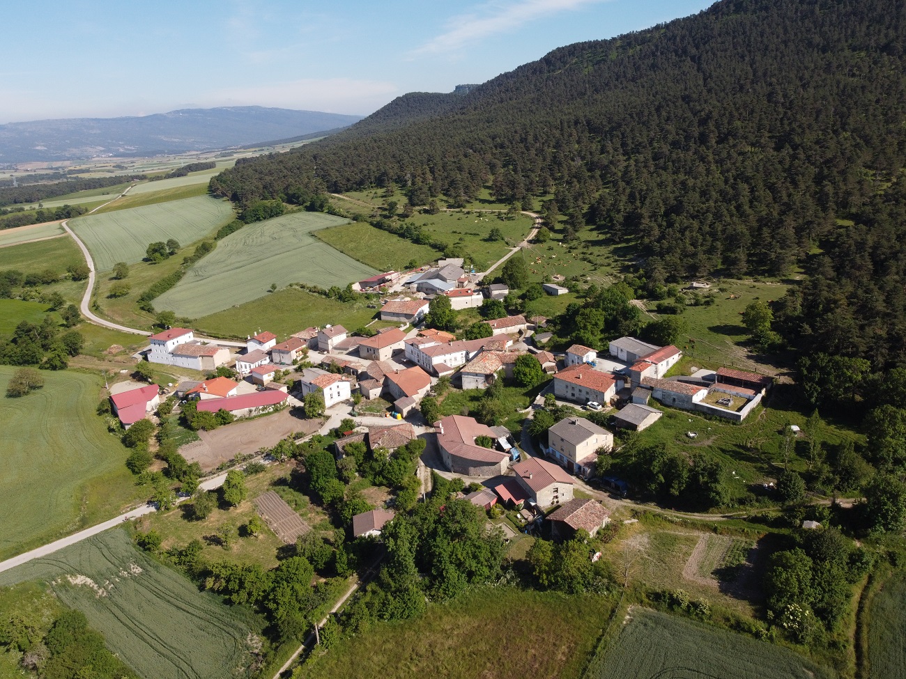 Vallelosa