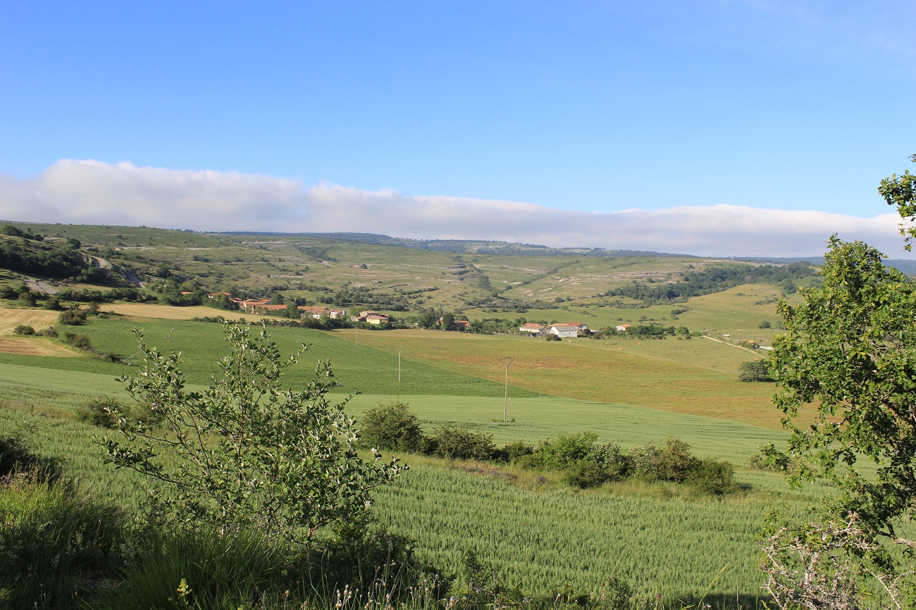 Vallelosa