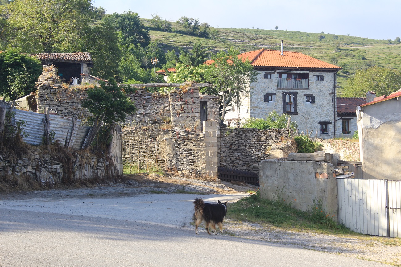 Vallelosa