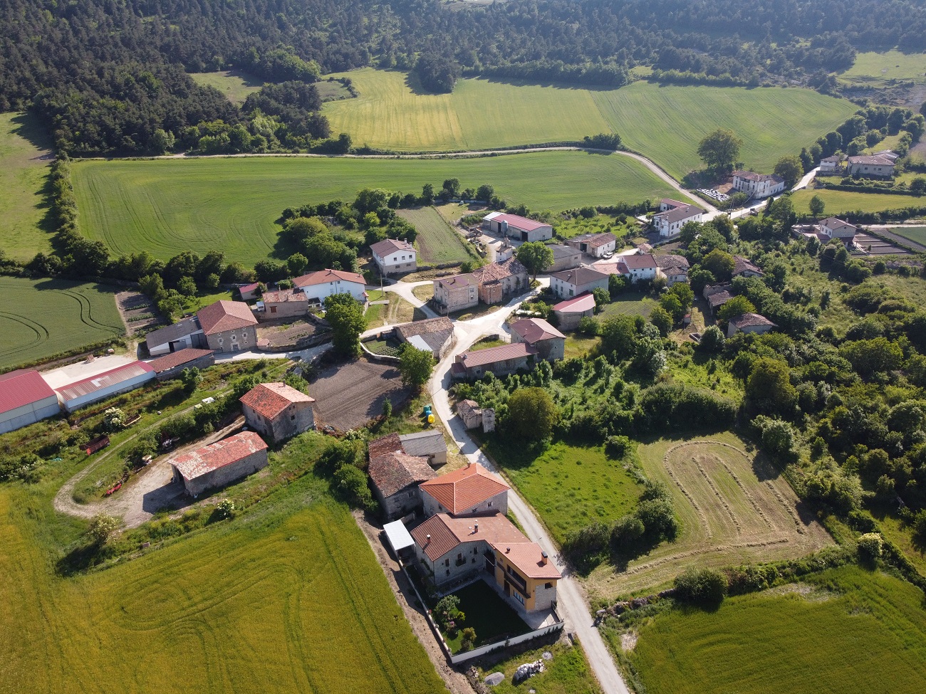 Vallelosa
