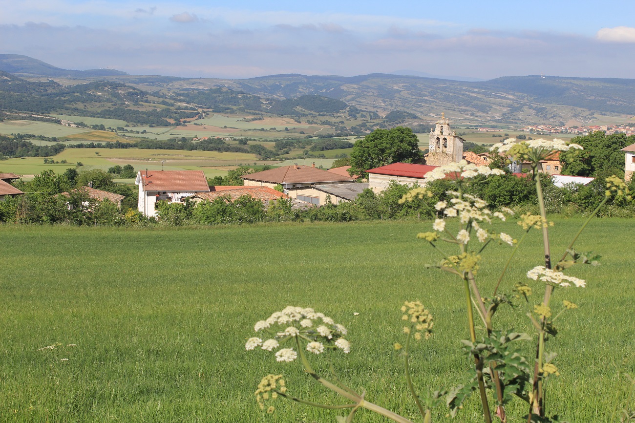 Vallelosa