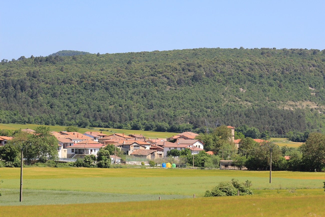 Vallelosa