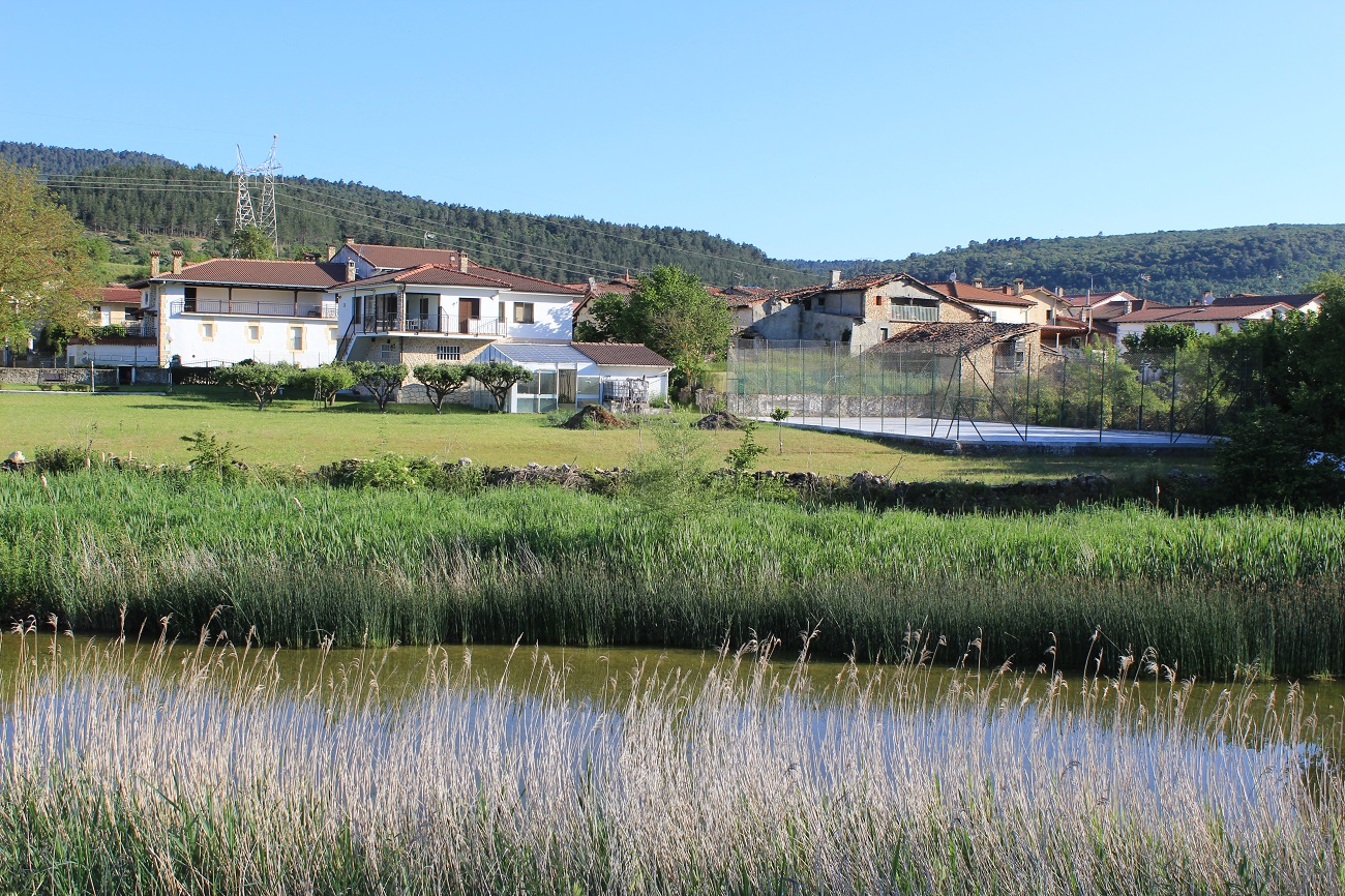 Vallelosa
