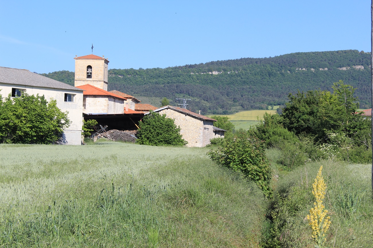 Vallelosa