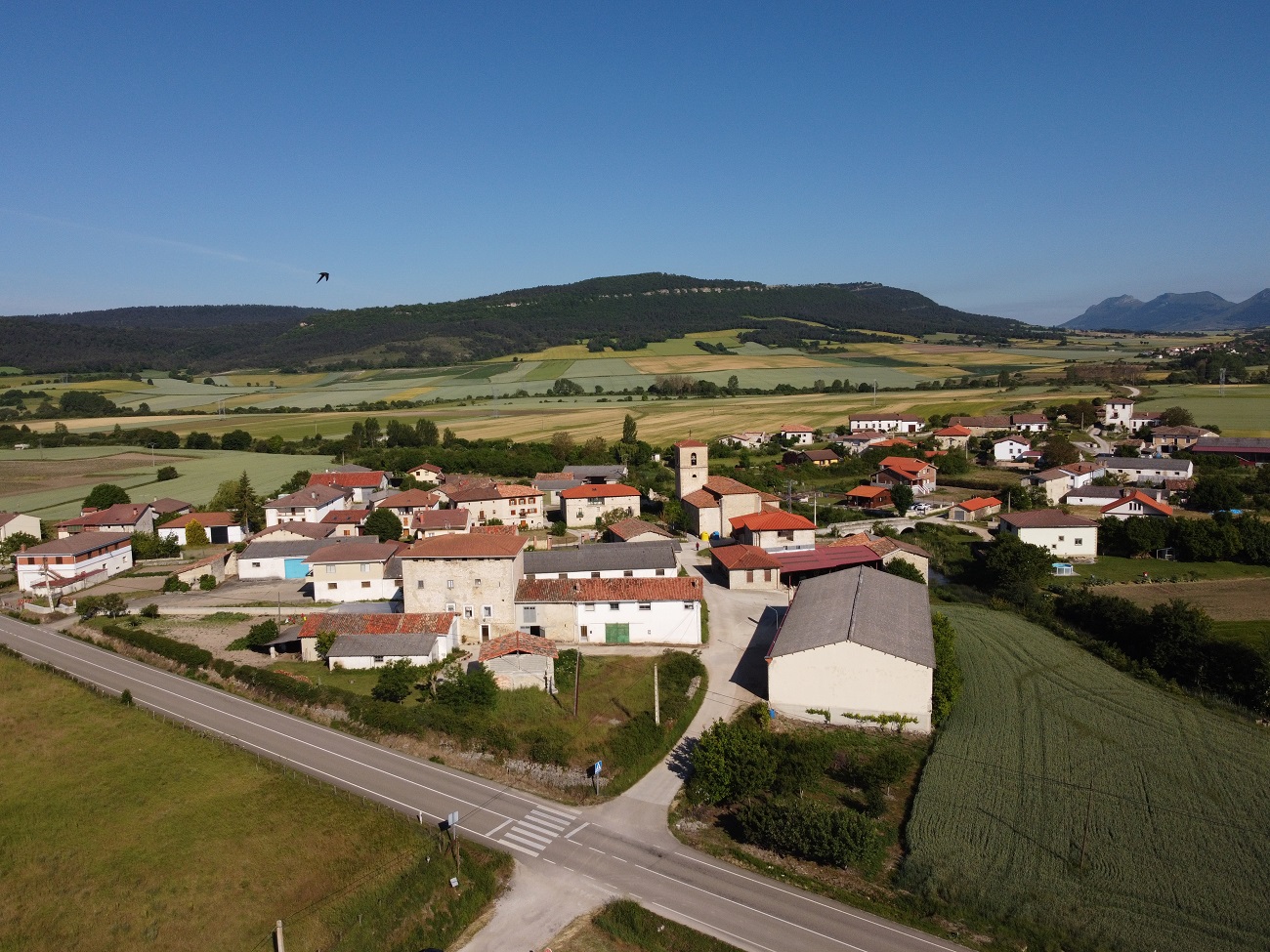 Vallelosa