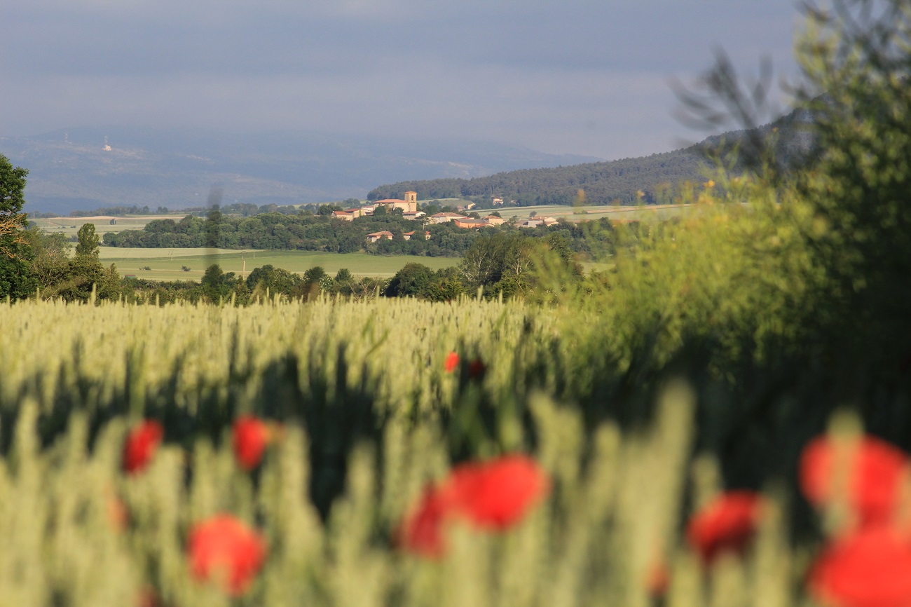 Vallelosa
