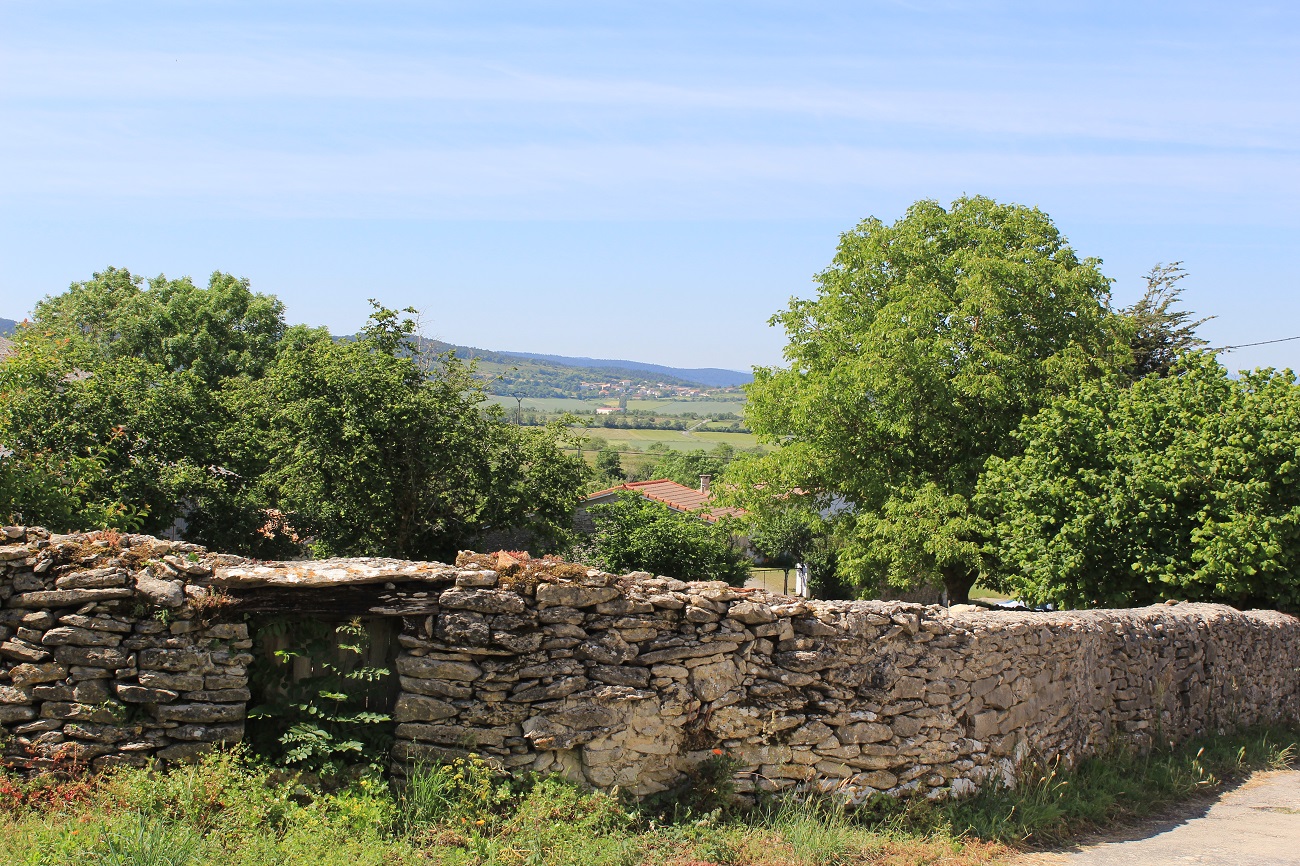 Vallelosa